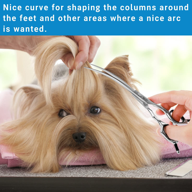HASHIMOTO Dog Grooming Scissors, Curved Scissors for Dog Grooming, 6.5 inch, 30 Degree of Curved Blade,Light Weight, Pet Shears for Trimming Face and Paws. 6.5" - PawsPlanet Australia