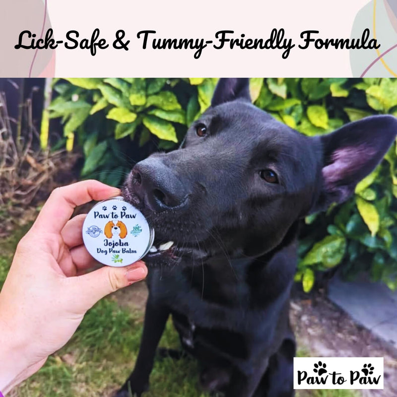 Dog Paw & Nose Balm – Jojoba Infused, Alcohol Free, Natural Lick-Safe Paw Protector for Cracked Pads & Dry Nose, Softening Jojoba Oil Moisturiser for Daily Grooming,30ml (Medium) Medium