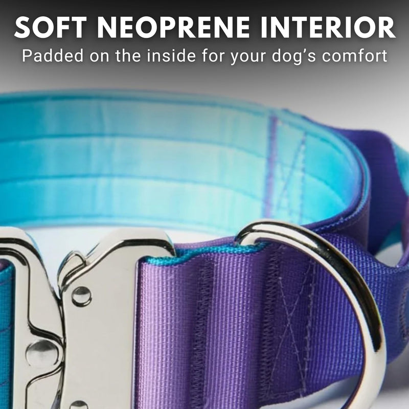 Spark Paws Tactical Dog Collar - Heavy Duty, Premium Quality, Thick and Durable for Large and Medium Dogs - 90's Retro - L 90s Retro L: 80-150 lbs [2" wide] - PawsPlanet Australia