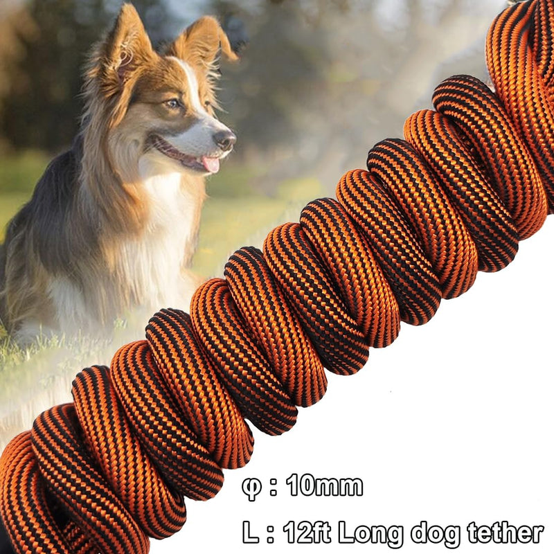 BTINESFUL Dog Tie Out, Check Cord Long Tether Rope Dog Leash, 8ft 12ft 20ft 30ft 50ft 75ft Yard Training Dog Lead - Large Medium Small Dogs Outdoor Playing, Camping, or Backyard (12ft, Orange Black) 12 Foot - PawsPlanet Australia