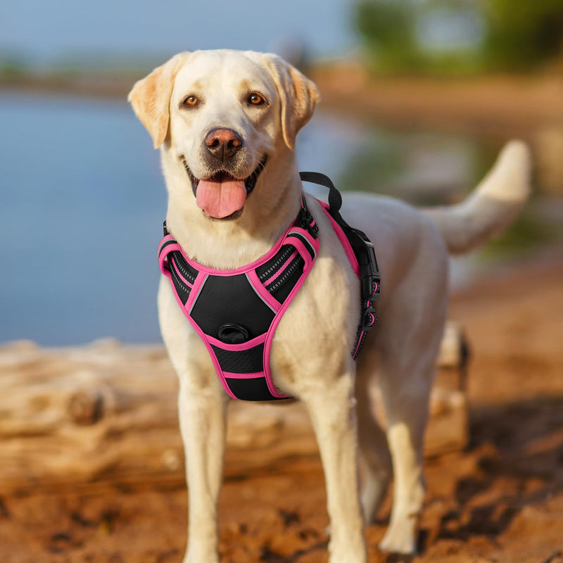 rabbitgoo Dog Harness No Pull with 2 Leash Clips, Adjustable Soft Padded, Reflective Oxford No Choke Pet Vest with Easy Control Handle for Large Dogs, Black & Hot Pink, M Medium - PawsPlanet Australia