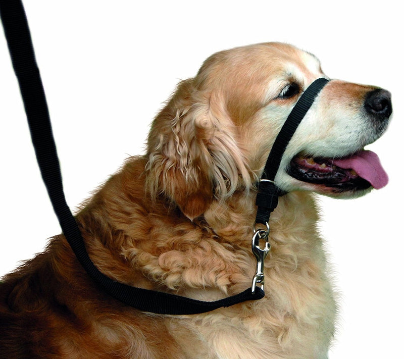 BARKELSS Dog Head Collar, Adjustable Padded Dog Halter to Stop Pulling, Gentle Control on Walks, Includes 1 Leash & Training Guide L Black - PawsPlanet Australia