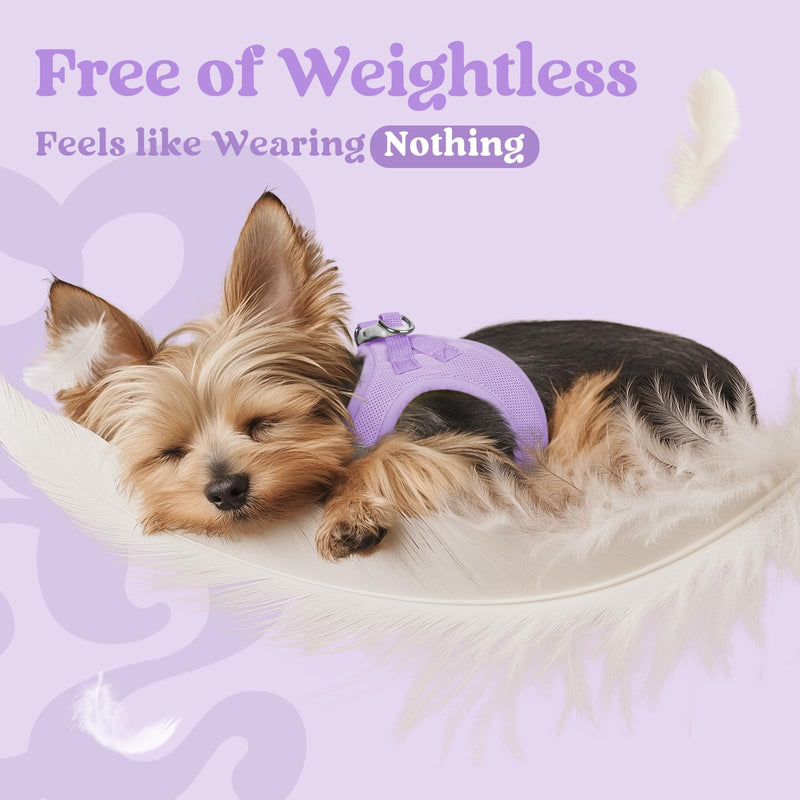 rabbitgoo Dog Harness Small Dog, Step-in Soft Mesh Puppy Harness with Reflective Strips, Lightweight Breathable Pet Vest for Walking Training, Light Purple, M