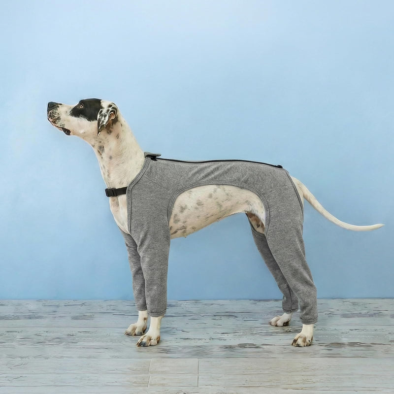 PUMYPOREITY Dog Onesie Surgery Recovery Suit, Dog Anti Lick Leggings Long Leg Vest Medical Pet Shirt after an Operation Non Restrictive on Movement(Grey, XL) Grey