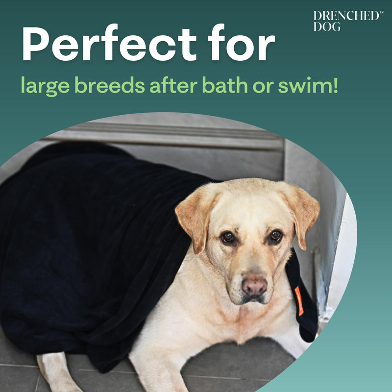 Bath Towel for Drying Large Dogs – Ultra-Soft Heavy Duty Microfiber – Super Absorbent Dog Towel – Quick Dry and Machine Washable – Must Have Pet Bathing Supplies – Black – 31x47in – 5.6oz - PawsPlanet Australia