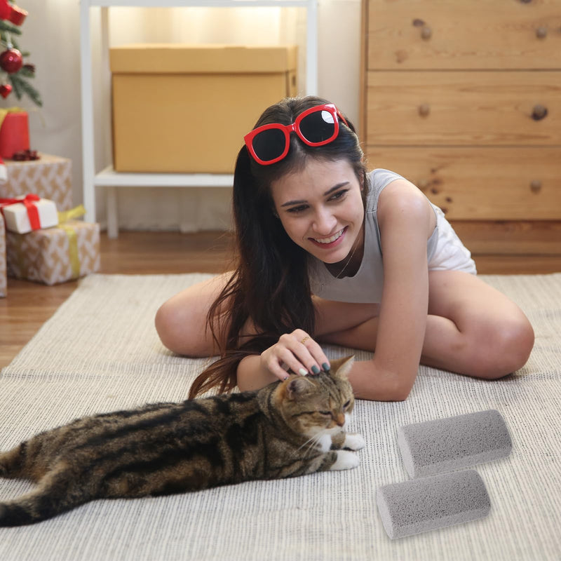 2 Pcs Pet Hair Remover Pumice Dog Cat Hair Stone Quickly Removal Cleaning Pet Fur Stone Reusable Upholstery Cleaner Rock Tool for Car Interior Couch Bedding Carpet Couch Furniture - PawsPlanet Australia