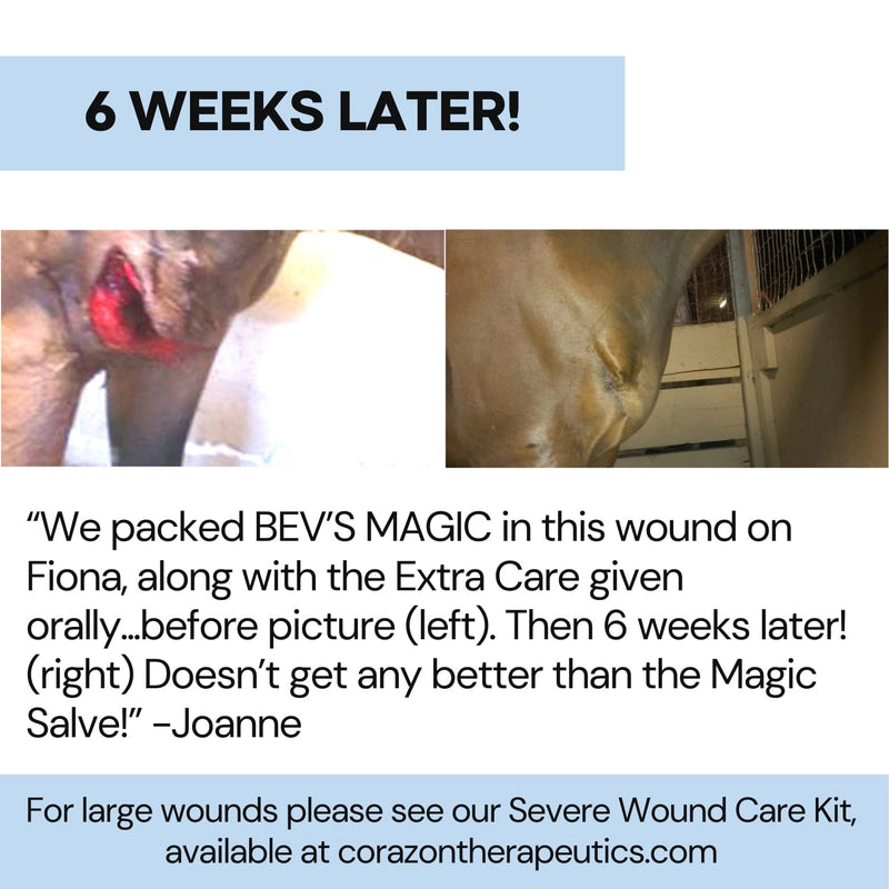 Wound Salve - For Horses, Pets, Livestock & People - Calendula, Shields Abrasions, Stops Infections, Promotes Scabbing, Reduces Inflammation & Scarring, Vet-Approved - Bev's Magic Salve (12 oz) 12 oz