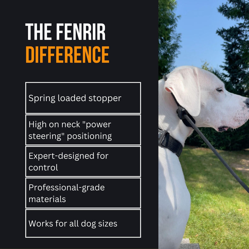 Fenrir Slip Leash 1.4m Professional Dog Training Lead To Stop Pulling, Perfect For Walks, Easy To Use, Spring Loaded Stopper, Light Weight And Durable Black - PawsPlanet Australia