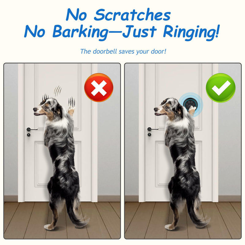 Dog Bells to Go Outside - Wireless Dog Door Bell with 1000ft Range, LED, Waterproof Potty Training Bell & Dog Buttons for Communication - Dog Clicker Alternative with 60 Melodies (1 Bell & 1 Receiver) 1 Bell & 1 Receiver - PawsPlanet Australia