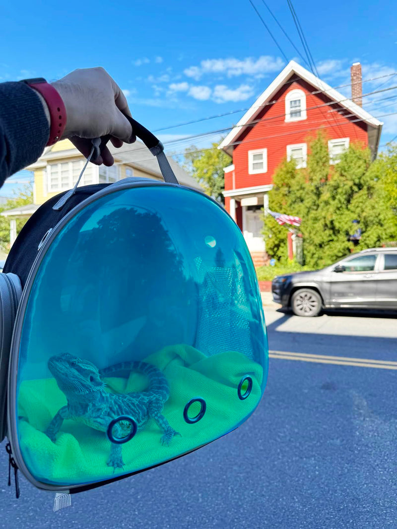 Bearded Dragon Travel Backpack with Harness and Leash Set,Lizard Backpack Travel Carrier,Space Capsule Clear Bubble Window Astronaut Reptile Carrier Backpack, Airline Approved Black/Blue Backpack+LSH Grey - PawsPlanet Australia