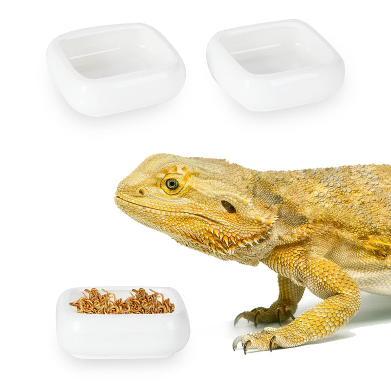 Reptile Food Bowls -Ceramic Square Reptile Water Food Dish, Pet Food Bowl for Lizards, Young Bearded Dragons, Small Snakes, Gecko Tortoise Spider (White, Small 2-Pack) White - PawsPlanet Australia