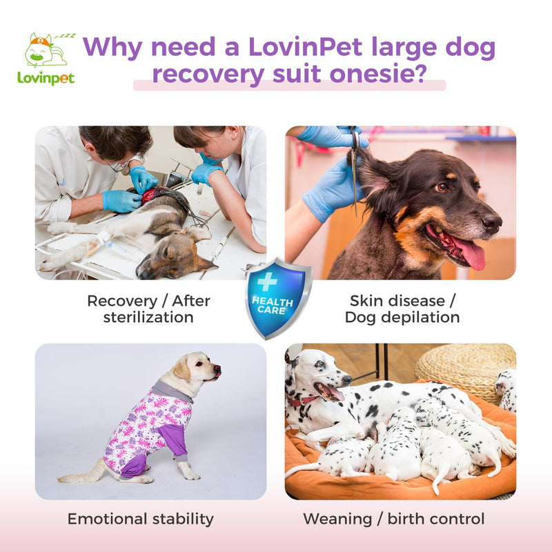 LovinPet Large Dog Recovery Suit - Dog Onesie for Surgery Female & Male Professional Anti-Licking Full Coverage for Anti-Shedding Pink - PawsPlanet Australia