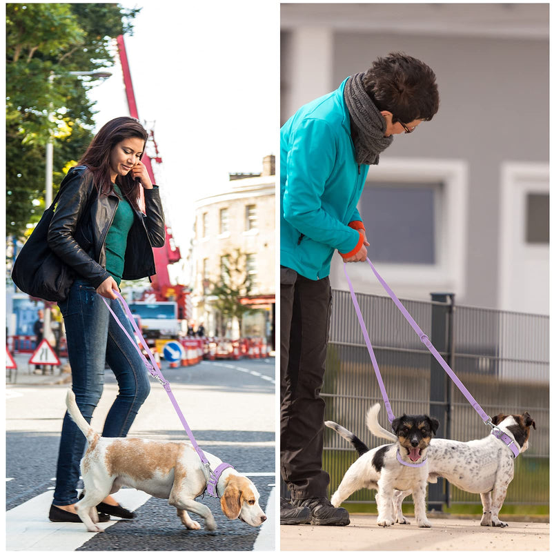 Wisedog Waterproof Dog Leash – 5ft/6ft Adjustable with 2 Metal Swivel Hooks, Easy to Clean Dog Leashes for Small, Medium, Large Breed Dogs (Lilac M) 5 ft × 3/4 in Lilac - PawsPlanet Australia