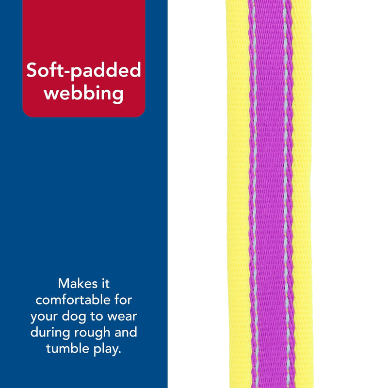 Coastal Pet - Pro - Reflective Adjustable Dog Collar, Purple with Yellow, 1" x 14-20" 1" x 14-20" (Pack of 1) - PawsPlanet Australia