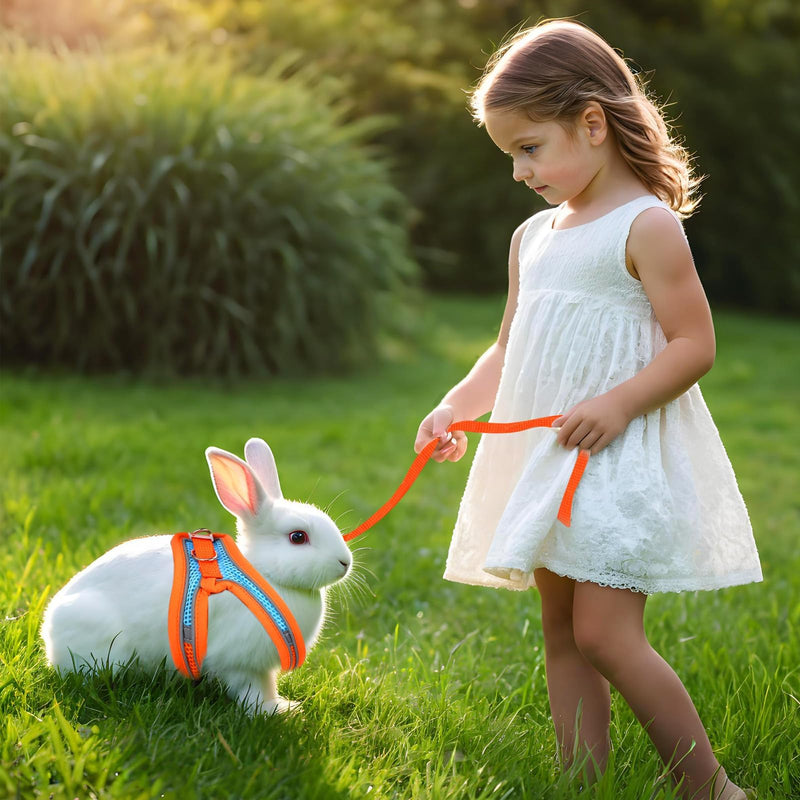 2 Pack Rabbit Harness and Leash Set, Double Buckle Bunny Harness with Reflective Strips Soft Breathable Mesh Vest Harness for Rabbits Walks Accessories XXS Orange and Green