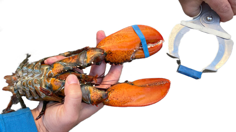 AirFly Crab, Lobster Claw Rubber Band Pliers.Designed in San Francisco, USA (Bands not included) Band Pliers (Bands not included) - PawsPlanet Australia