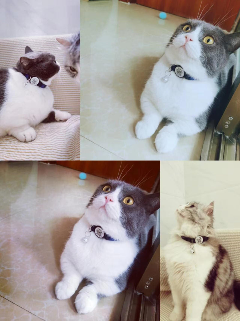 Cat Collar with Pet ID Tag,Breakaway Cat Collar QR Code Tag, Personalized Cat Collar, Cute Kitty Collar with Bells,Pet Online Profile-Scan QR Receive Instant Pet Location Alert Email (Blue) Blue - PawsPlanet Australia