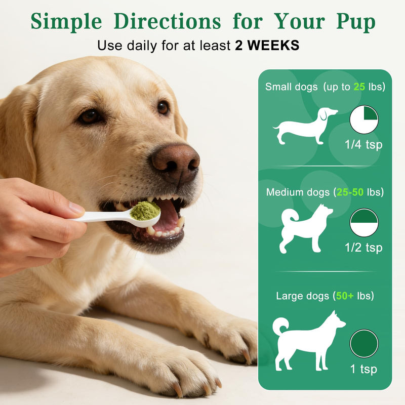 Dog Dental Powder with 750,000,000 CFU Probiotics, Advanced Dog Teeth Cleaning Powder to Reduce Plaque & Tartar, Dental Care for Dogs, Breath Freshener & Teeth Cleaning Made Easy for All Dogs 3.5 Ounce (Pack of 1) - PawsPlanet Australia