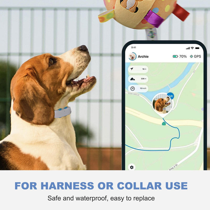 GPS Tracker for Dogs Rubber Clip Compatible with Tractive GPS Pet Location Tracker Replacement Attachment Rubber Clips - Pack of 6 - PawsPlanet Australia