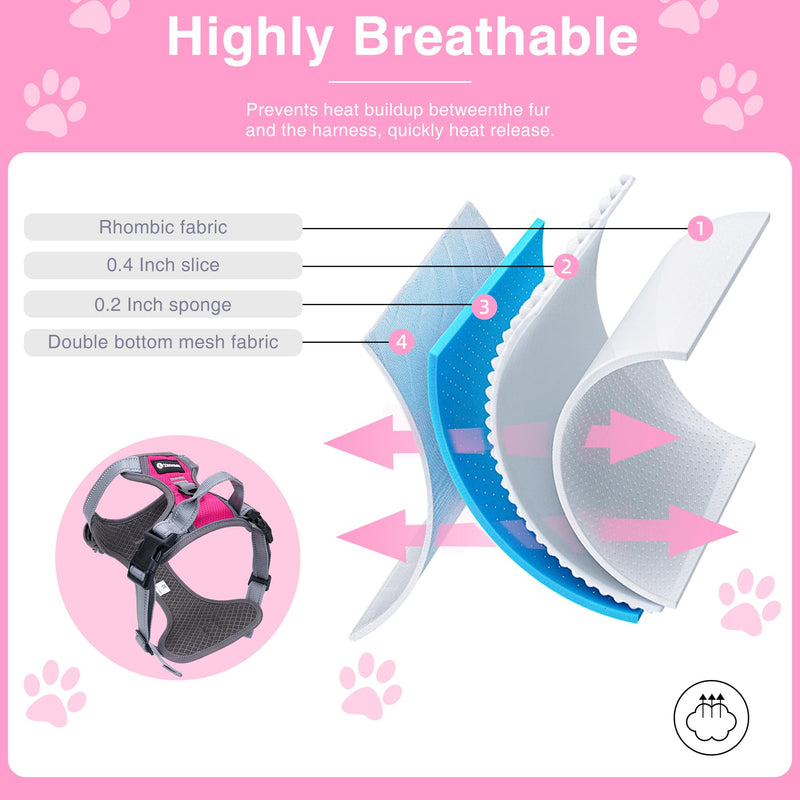 Reflective Dog Harness with Handle for Small Dogs, Adjustable Dog Harness and Leash Set with 2 D-Rings - PawsPlanet Australia