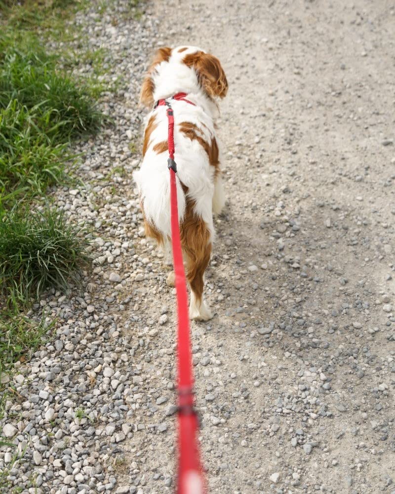 EzyDog Zero Shock LITE Dog Leash - Shock Absorbing Bungee Leash for Dogs That Pull or Excite - Dual Handle and Reflective for Medium, or Small Dogs (72", Denim) 72" - PawsPlanet Australia