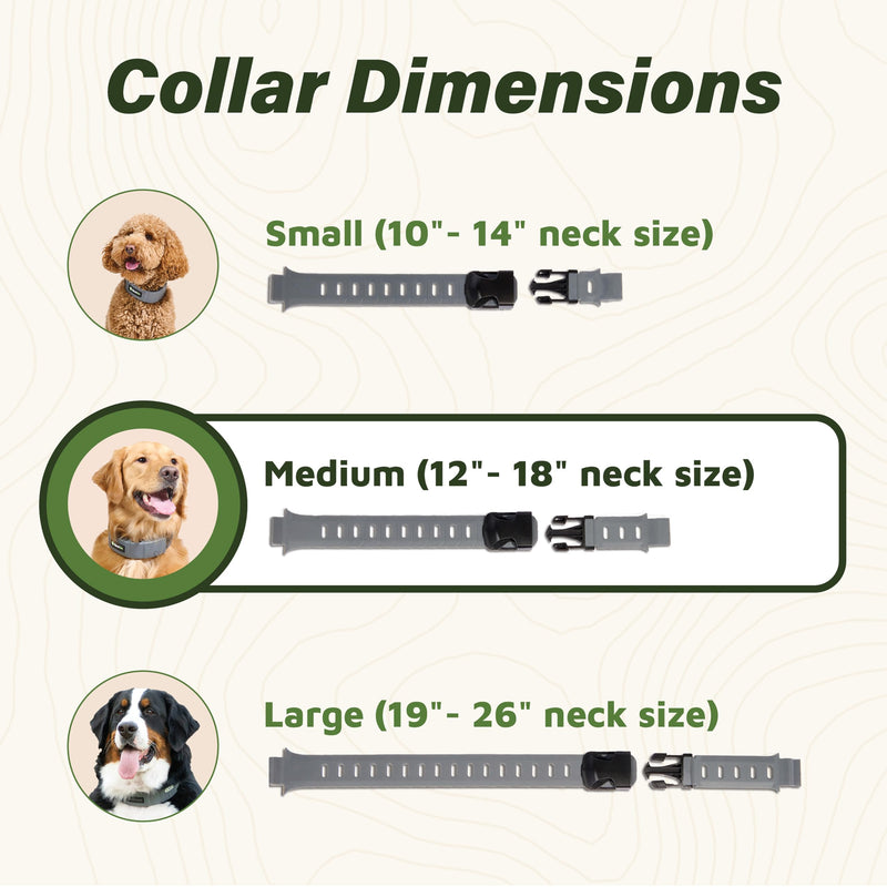 SpotOn GPS Dog Collar Strap Replacement Kit for Large Dogs, Accurate & Reliable Wireless Dog Fence Collar, Gray Color, Collar Sold Separately (Medium (12"-18" Neck)) Medium (12"-18" Neck)