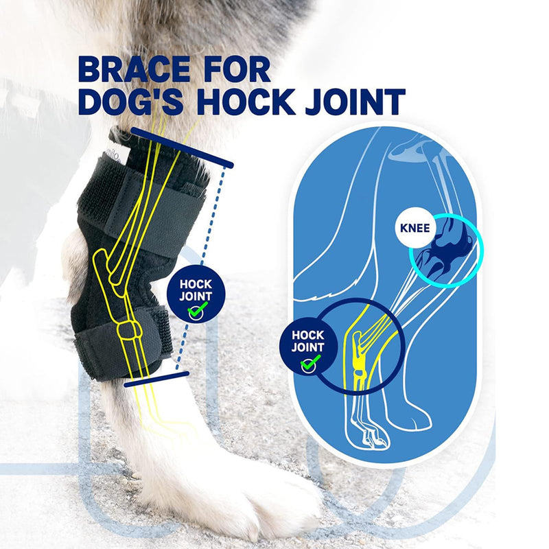 RC GearPro 2 Pack Dog Joint Brace Rear Leg Canine Hock Support - Dog Elbow Brace Compression Wrap Straps for ACL CCL Joint Injury and Sprain Protection, Healing and Loss of Stability (L) L