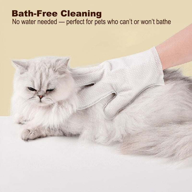 Mr Hsiung & Mrs Yin Pet Glove Wipes for Dogs & Cats (6-Count) - Hypoallergenic Cat Cleaning Wipes, Water-Based & Fragrance-Free Pet Wipes for Gentle Cleaning of Paws, Body & Fur - PawsPlanet Australia