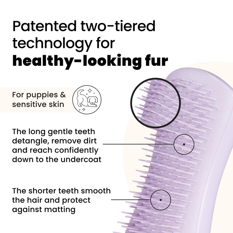 Tangle Teezer | Pet Teezer | Puppy Grooming Brush | Short, Medium Hair | Soft Bristles to Detangle Knots | Lilac