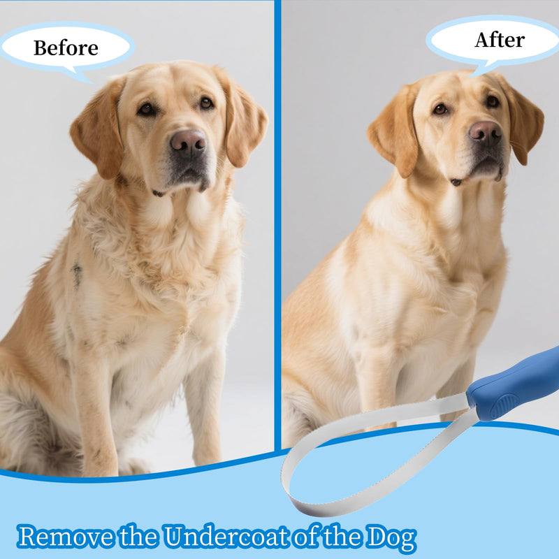 Detachable Plastic-Handled Dog Brush with Expandable Stainless Steel Comb - Dual-Sided Design for Knot Removal and Loose Undercoat Elimination - The Ultimate Grooming Tool for Short-Haired Dogs - PawsPlanet Australia