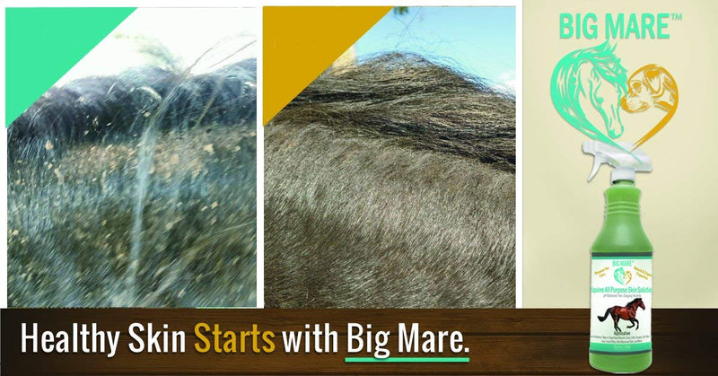 Big Mare All Purpose Horse Skin & Wound Care 32oz | First Aid: for Girth Itch, Insect & Fly Bites, Crud, Itchy Manes & Tails & Hair Loss | Vet Approved & Recommended - PawsPlanet Australia