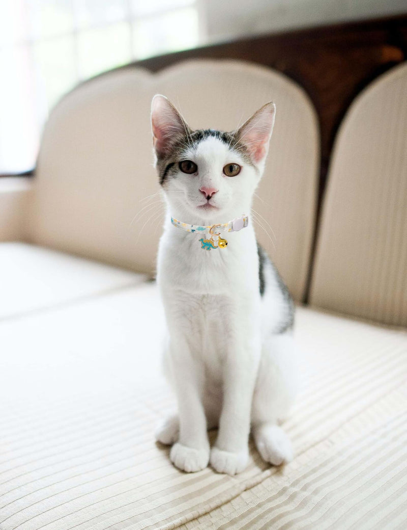 Cat Collar Breakaway with Bells,3 Pack Safety Adjustable Pet Collars,Ideal for Girl Boy Kittens. (White Blue Dinosaur) white blue dinosaur - PawsPlanet Australia