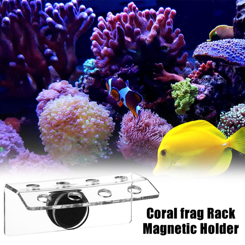 MiOYOOW Coral Frag Rack, Magnetic Coral Frag Holder 30° Bending Acrylic Coral Plug Holder for Aquarium Fish Tank 8 holes - PawsPlanet Australia