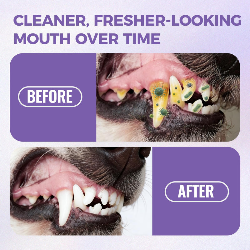 Furaqua Pet Dental Spray, Cleaning Spray for Dogs Teeth, Pet Breath Freshener – Dog Oral Care & Cat Teeth Cleaning - Targets Bad Breath, Plaque & Tartar - No Brushing(1) 1 - PawsPlanet Australia