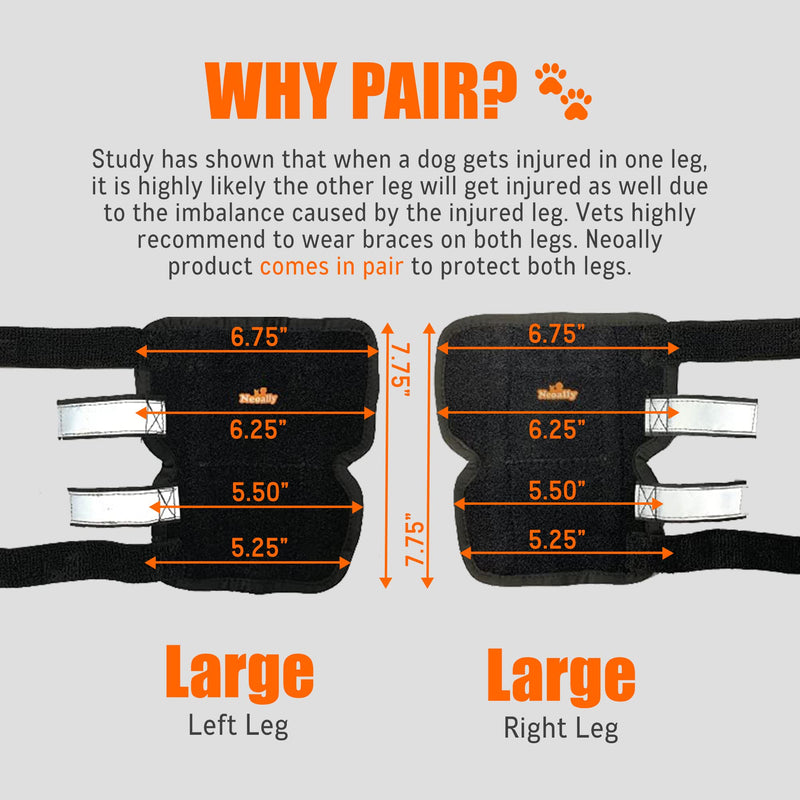 NeoAlly - 3-in-1 Long Rear Leg Hock Brace, Dog Leg Brace for Rear Leg with Rigid & Spring Inserts, Hock and Ankle Support, Dog Leg Sleeve with Reflective Straps, Large, 1 Pair
