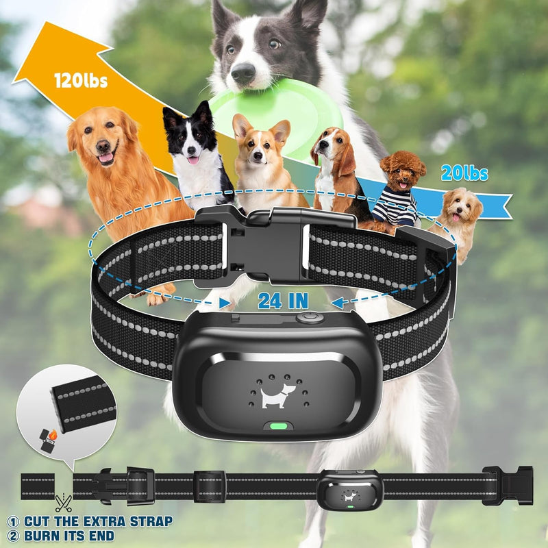 Dog Shock Collar with Remote Control- Training Collar for Small Medium Large Dogs, Electric Collar for Dogs Training Rechargeable, E Collar with Beep, Vibration & Shock-Lock Keypad Black 1-PACK