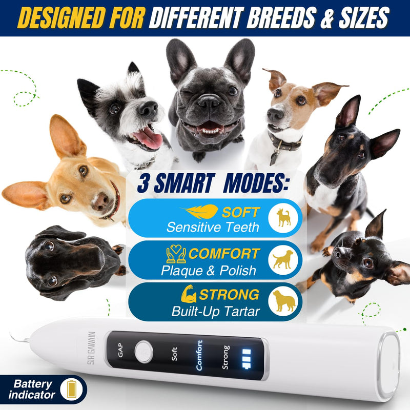 SIRGAWAIN Pet Ultrasonic Dental Cleaner — Plaque, Tartar & Stains Remover, 4 Tips, 3 Modes, LED, Contact-Activated & Smart Touch Protection, Complete Cleaning Kit for Dogs & Cats (White) White - PawsPlanet Australia