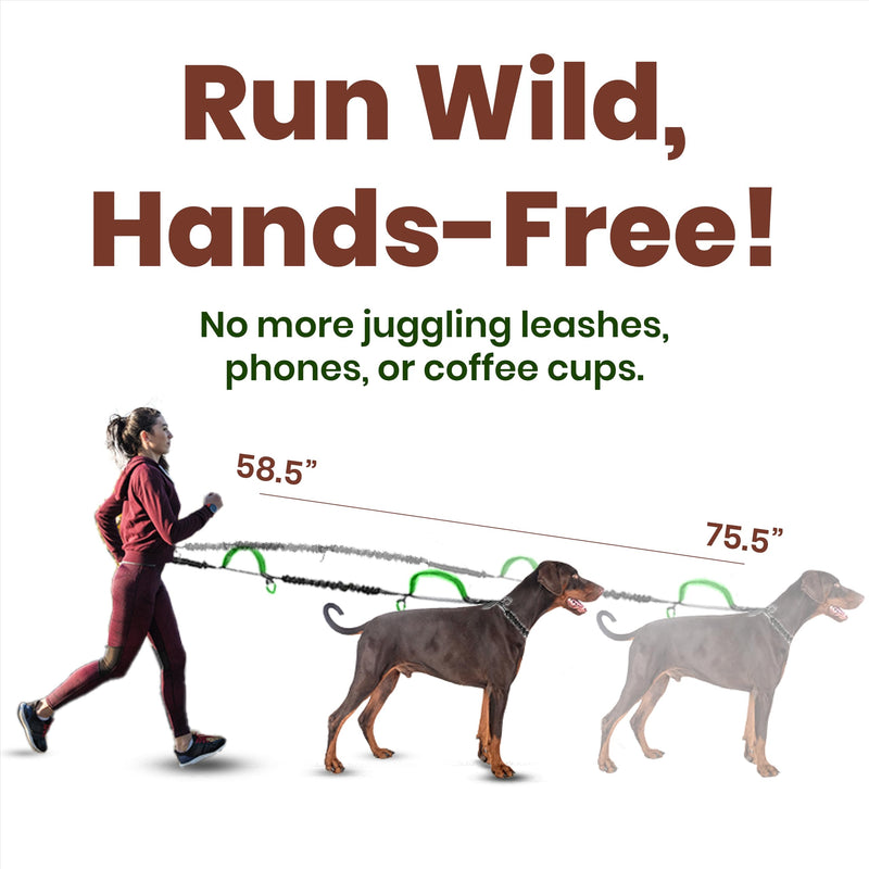 ?????????? ???????? Hands Free Dog Leash for 2 Dogs – Dual Bungee Running Leash with Adjustable Waist Belt, Tangle-Free 360° Swivel, Shock Absorbing, Padded Handles & Zipper Pouch