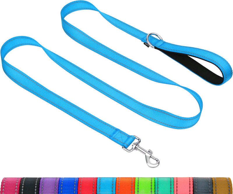 Taglory Dog Leash for Small Dogs | Double-Sided Reflective | Soft Neoprene Padded Handle | 3/4 inch by 5ft | Fit Small Medium Large Breeds Dogs Under 20lbs | Sky Blue 3/4 in x 5 ft (Pack of 1)