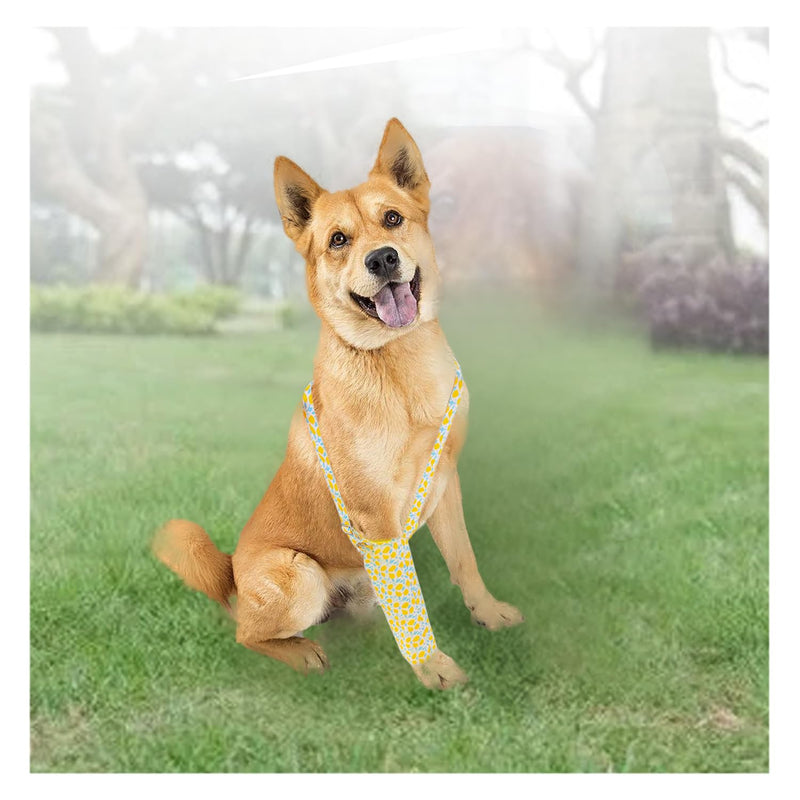 Dog Surgery Recovery Sleeve Single Front Leg Sleeve Dog Callus Protector No Lick Sleeve for Hot Spots Wounds Bandages for Dogs Cone Alternative Prevent Licking Joint Care Elbow Brace Protector - PawsPlanet Australia