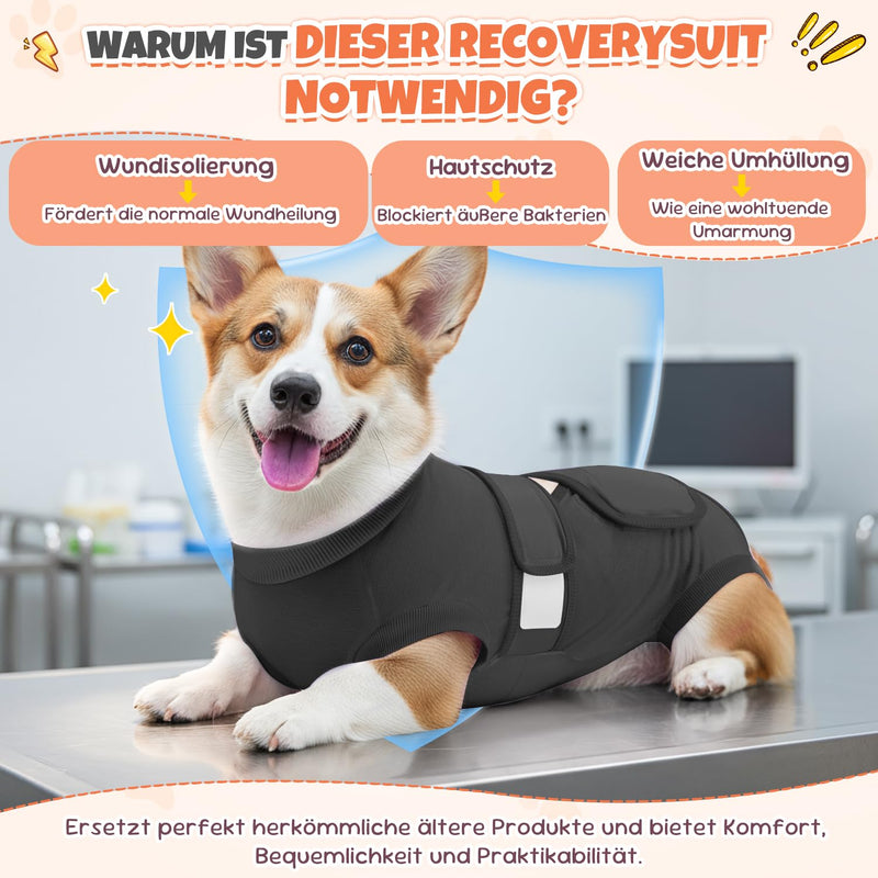 Eyein Dog Bodysuit After Surgery, Breathable Adjustable Onesie for Female and Male Dogs, Anti-Licking and Wound Protection, Alternative to E-Collar and Funnel After Surgery, Dark Grey, S darkgray