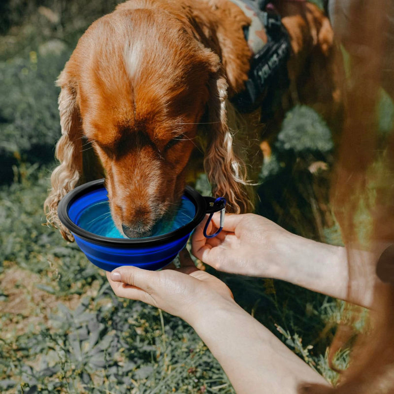 Cutie's PetBox Collapsible Travel Water & Food Bowl for Dogs and Cats, 12oz 350ml Volume, Full Height 2" (Blue) Blue - PawsPlanet Australia