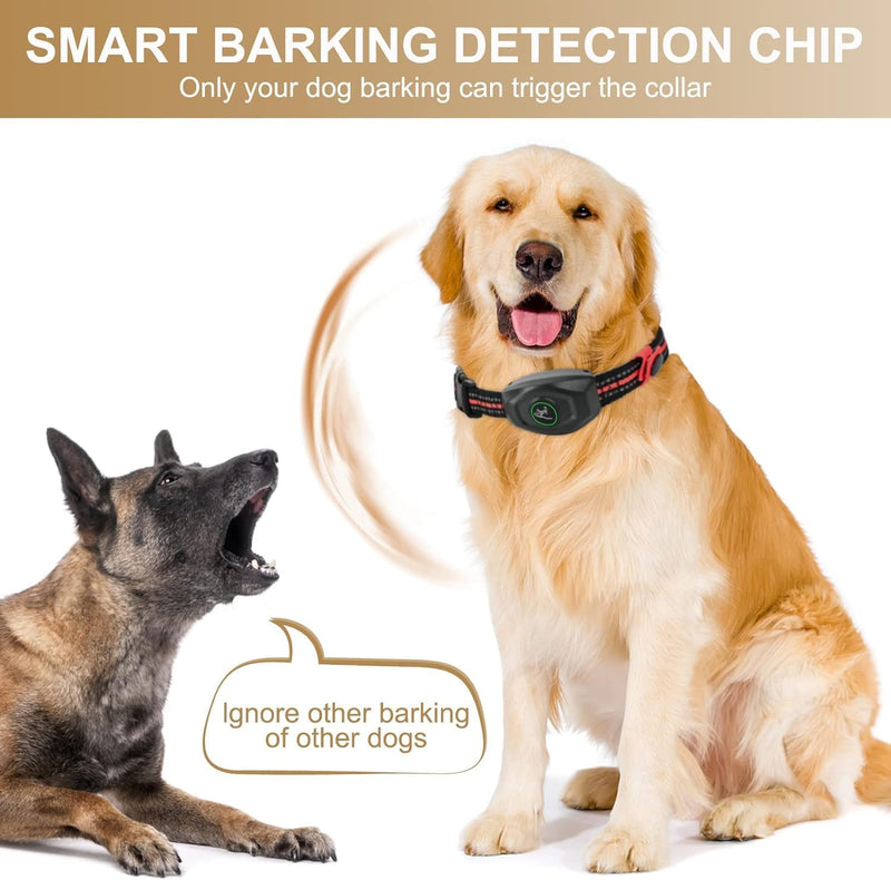 Dog Shock Collar - 2 in 1 Bark Collar with Remote, w/3 Remote Training Modes, Beep, Vibration 1300Ft Dog Training Collar for for Small Medium Large Dogs - PawsPlanet Australia