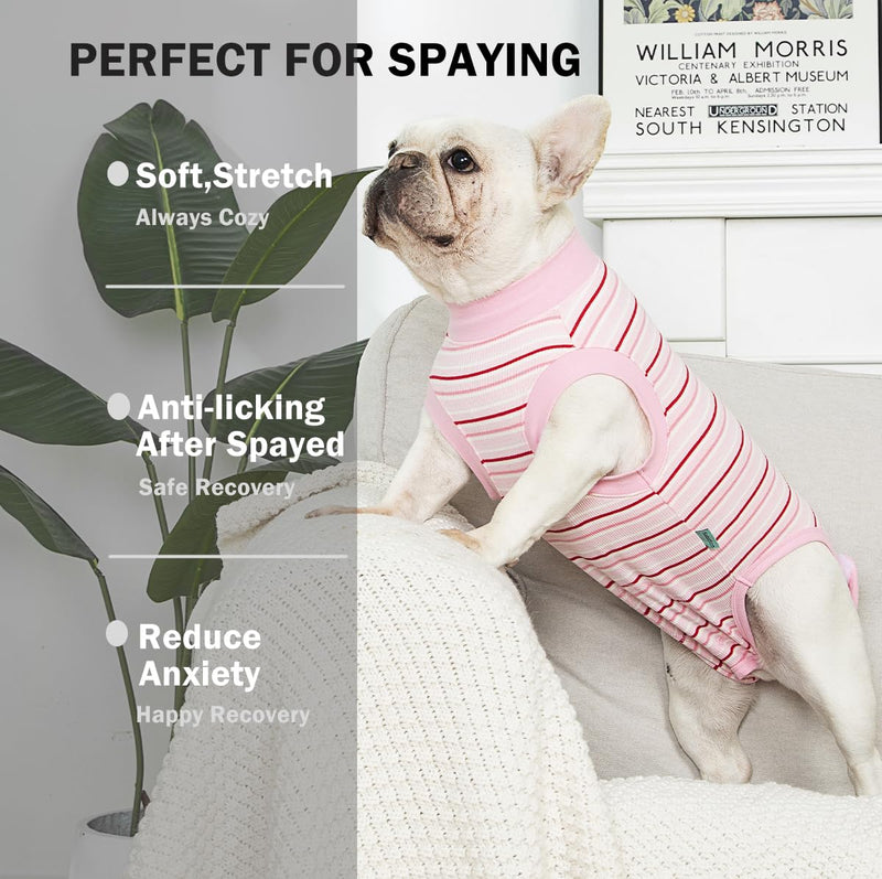 Dog Surgery Recovery Suit for Female Spay Post Surgery,Soft Surgical Recovery Puppy Onesie,Cone Alternative Recovery Bodysuit,Abdominal Wonds Anti Licking Surgery Suit,Striped Pink S Striped Pink - PawsPlanet Australia