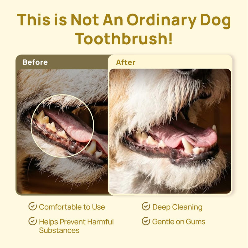 HICC PET Toothbrush for Dogs & Large Cats, Vet-Recommended Ergonomic Pet Toothbrush for Easy Teeth Cleaning, Gentle on Gums, Cat & Dog Dental Care, Improves Oral Hygiene. Toothpaste Not Included Yellow for Dogs & Large Cats
