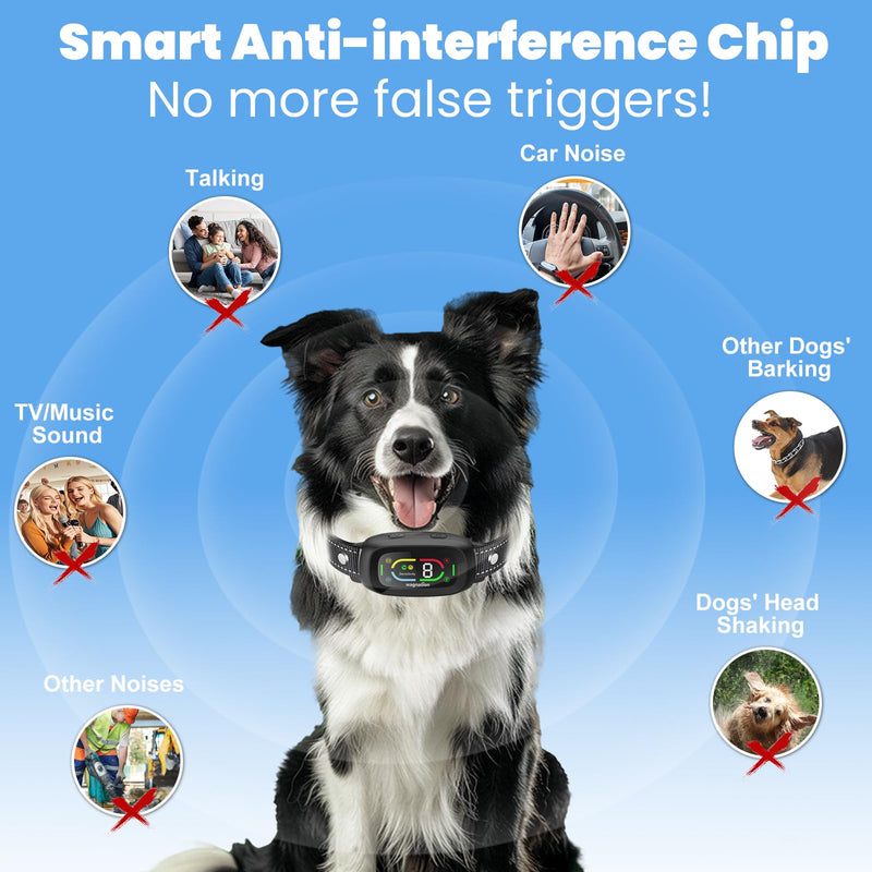 Automatic Dog Bark Collar, Safe Anti Barking Collar with Adjustable Beep Vibration Shock Modes & 9 Sensitivity, IP67 Waterproof Bark Deterrent Device for Large Medium Small Dogs 10-150lbs - PawsPlanet Australia