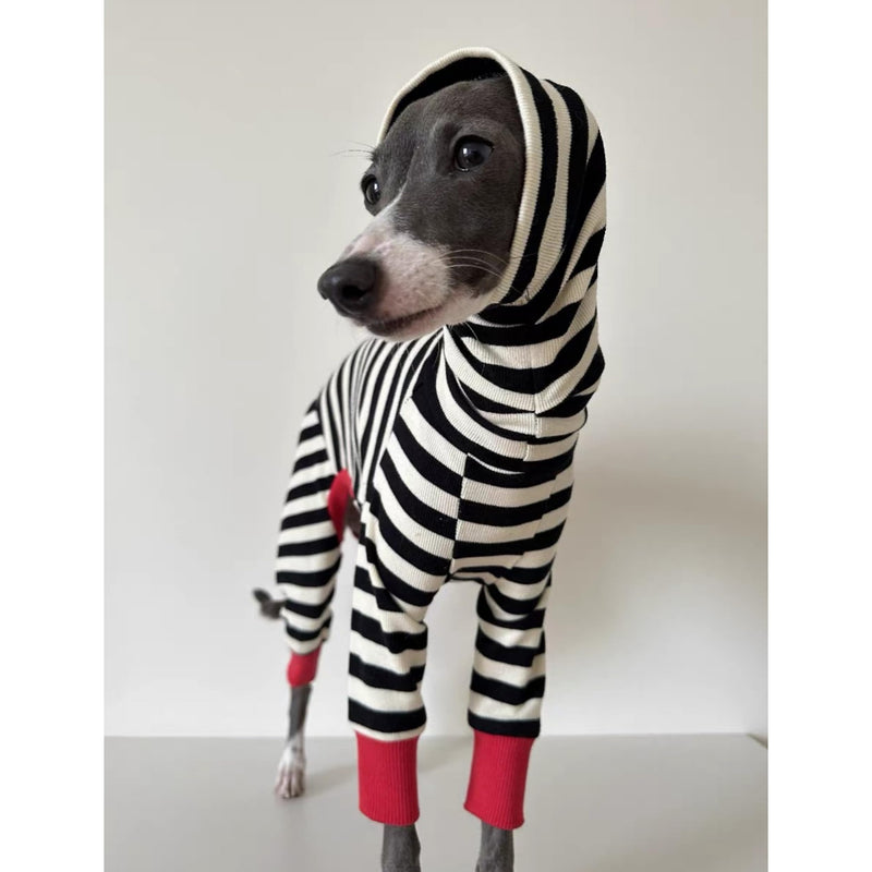 Italian Greyhound Onesie Clothes, Turtleneck Striped Shirt for Whippets Puppy, Light and Thin Shirt for Spring and Summer (Small) Small - PawsPlanet Australia