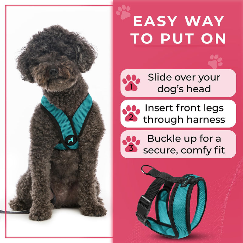 Gooby Comfort X Head-in Harness – Medium Dog Harness (9–15 lbs), Turquoise, No Pull, Choke-Free Design Medium Chest (14.25-18.75") - PawsPlanet Australia