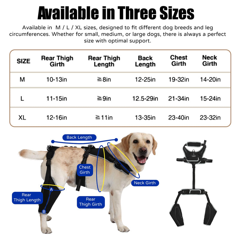 Dog Knee Brace with Adjustable Support Acl Hind Leg for Support with Cruciate Ligament Injury, luxating Patella,Arthritis,Dog Acl Knee Brace with Dog Chest Harness M Black01