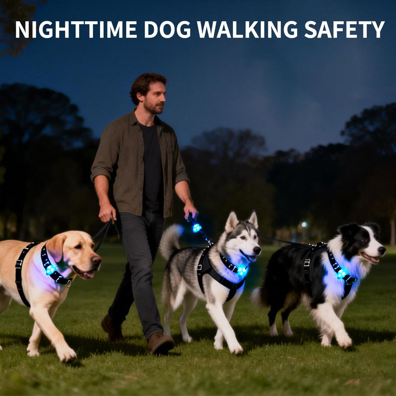 LaRoo LED Dog Collar Light - Waterproof Clip-On 3 Modes, High Visibility for Night Walking/Camping, Pet Safety Light for Small/Medium/Large Dogs (Blue) Blue-A - PawsPlanet Australia